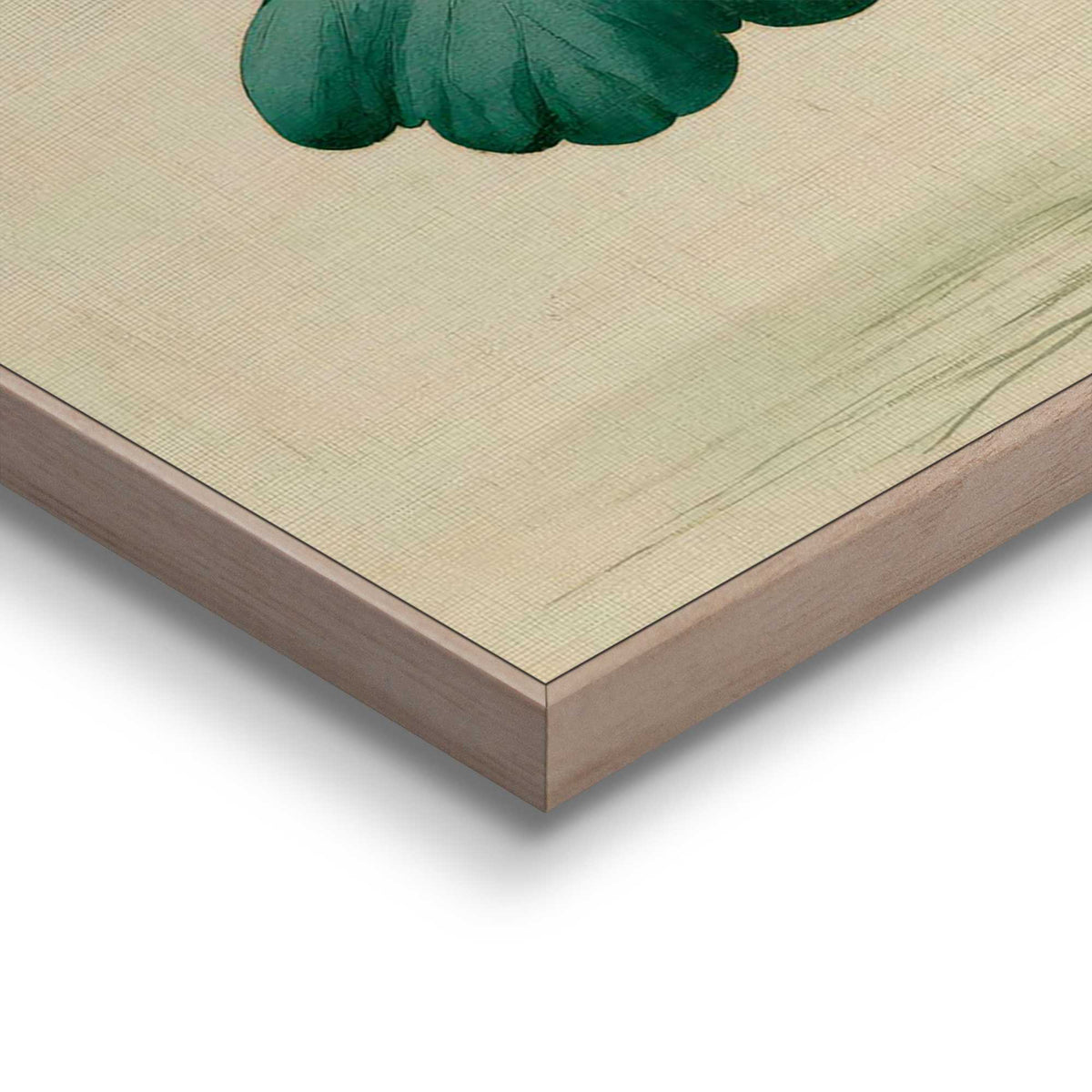 Framed Poster Lotus bloom 70x50