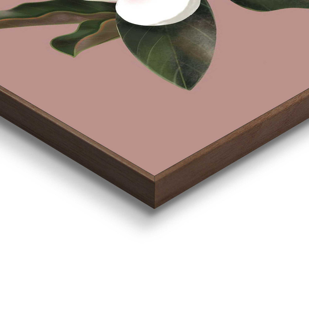 Framed Poster Magnolia Bloom 70x50