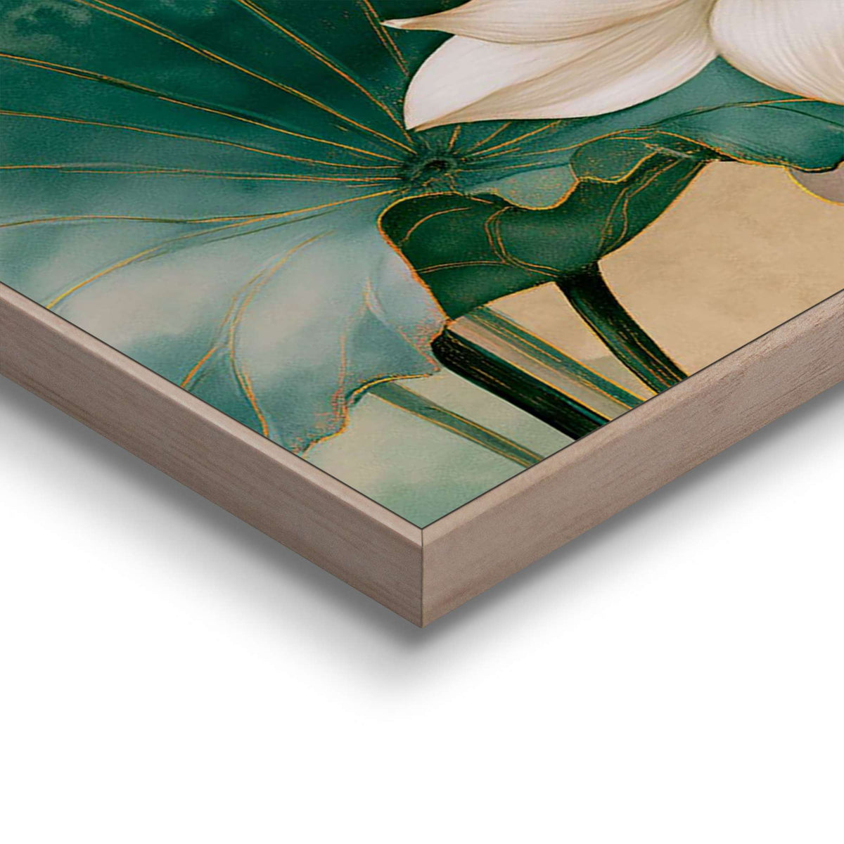 Framed Poster White lotus in Bloom 70x50