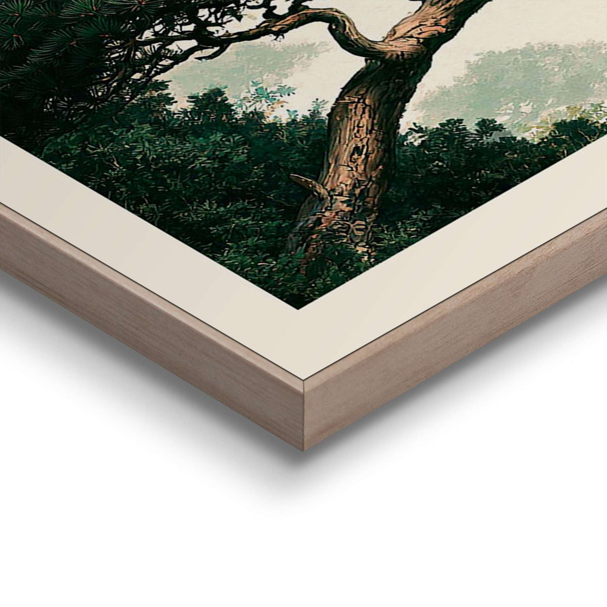 Framed Poster Japanese Pine Trees 70x50