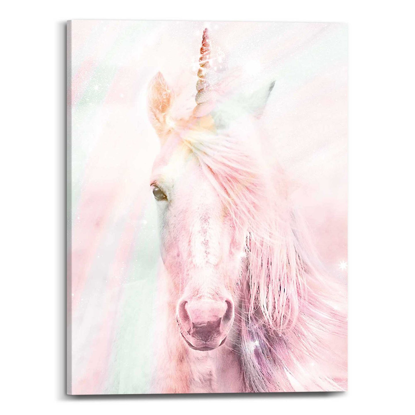 Canvas Unicorn Fluffy 40x30