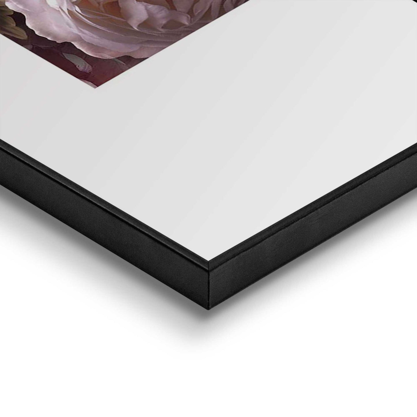 Framed in Black Bed of Roses 70x50