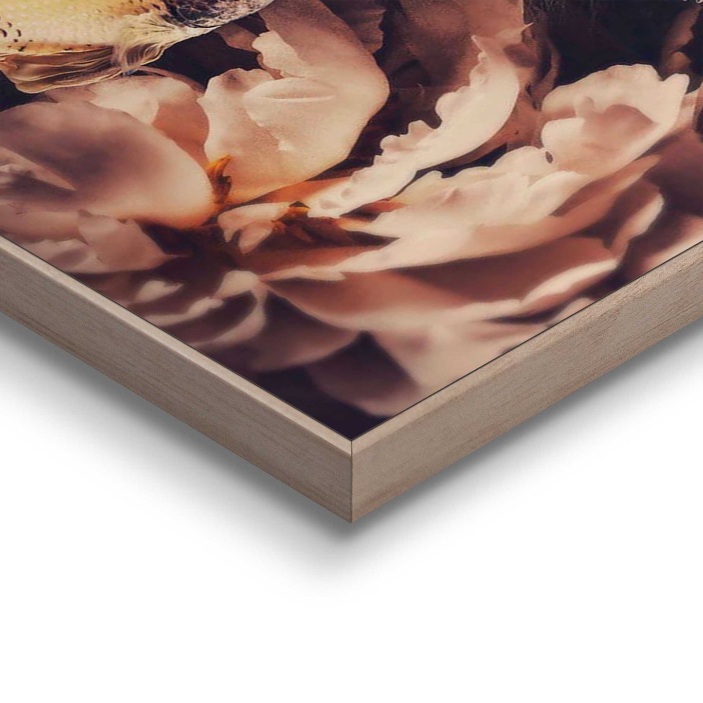 Framed in Wood Exotic Lion 70x50