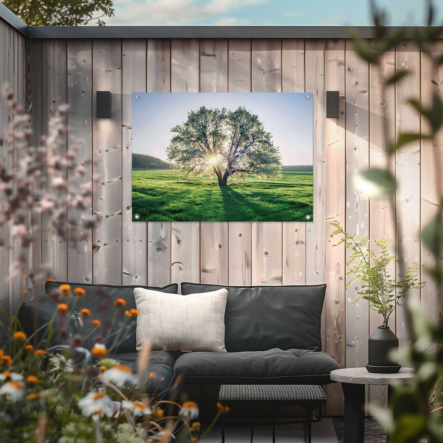 Outdoor Art Morning Tree 50x70