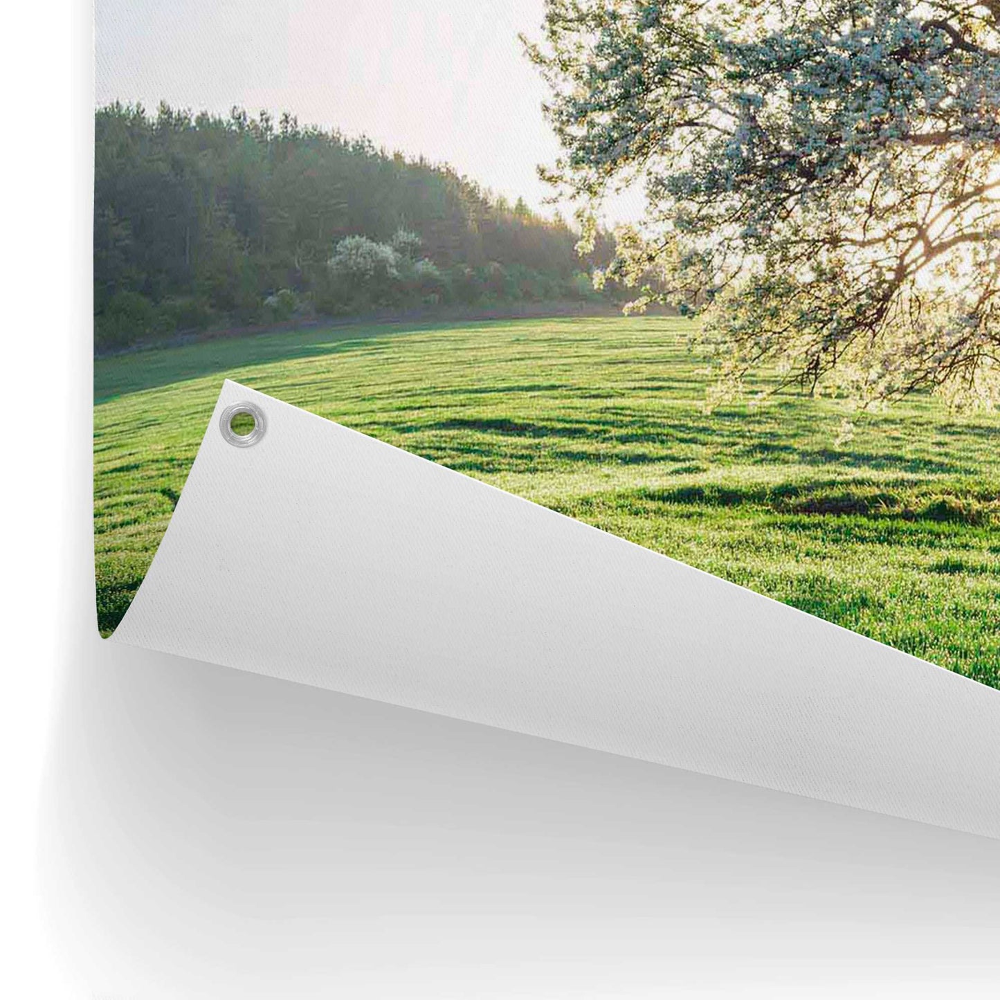Outdoor Art Morning Tree 50x70