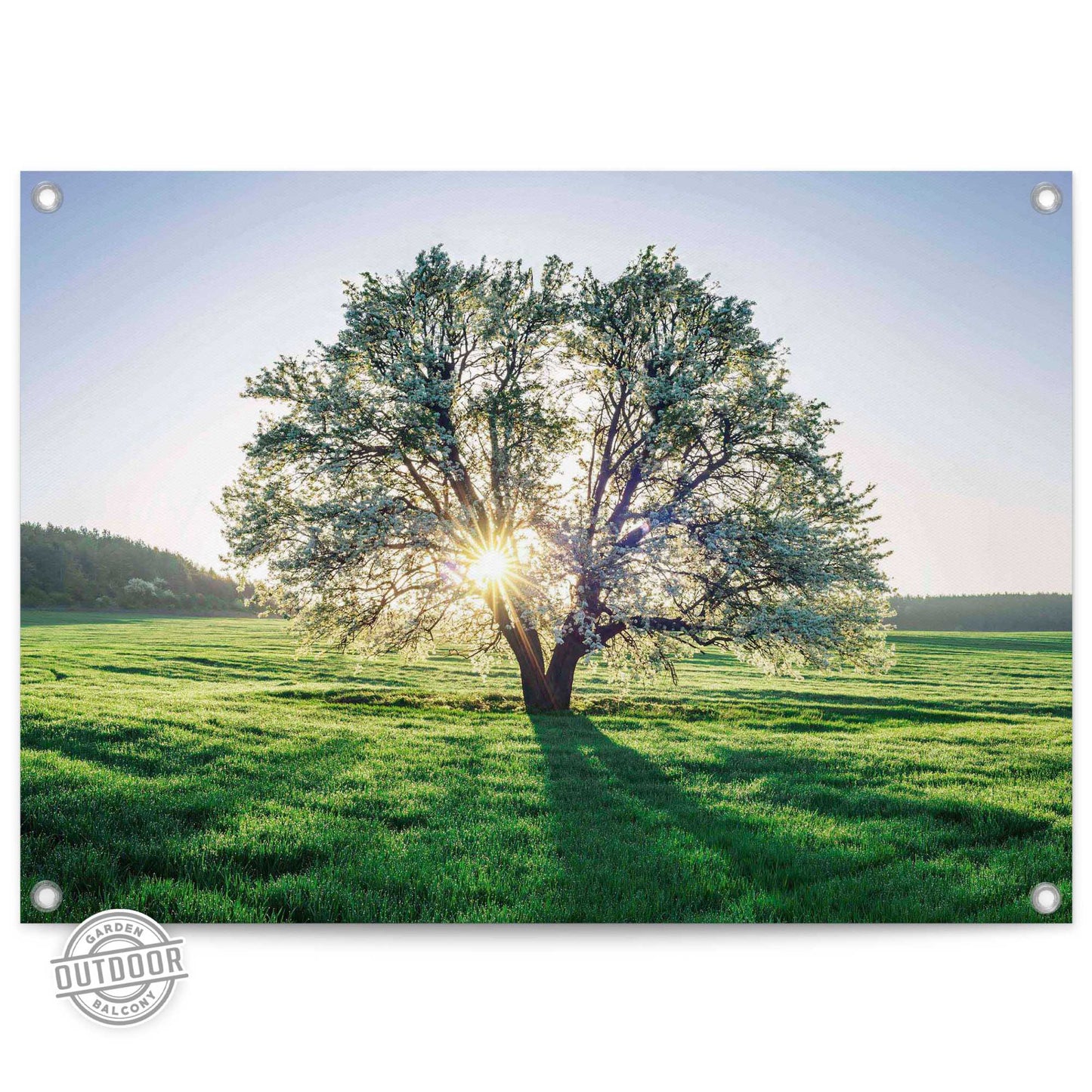 Outdoor Art Morning Tree 50x70