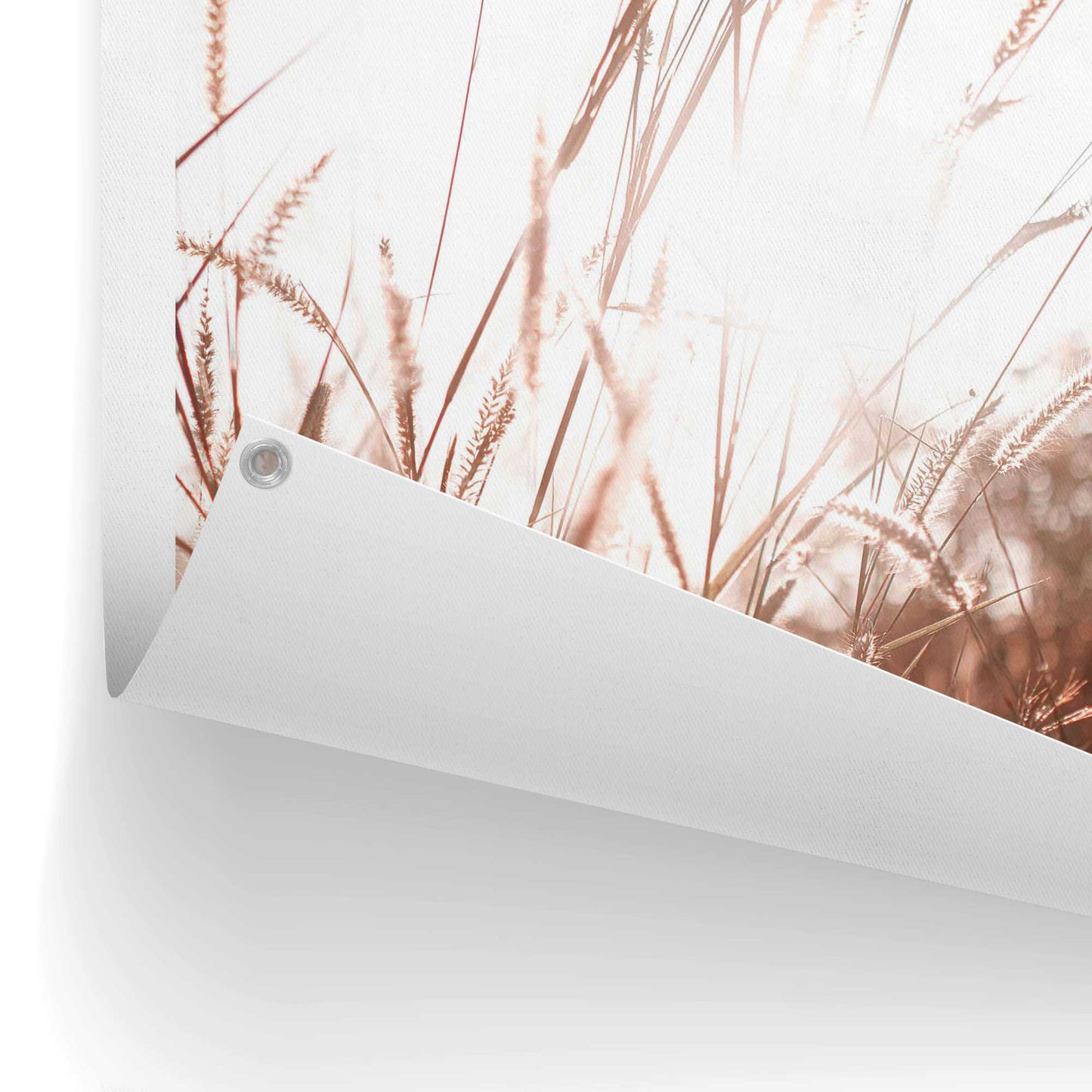 Outdoor Art Sunlight Grasses 70x50