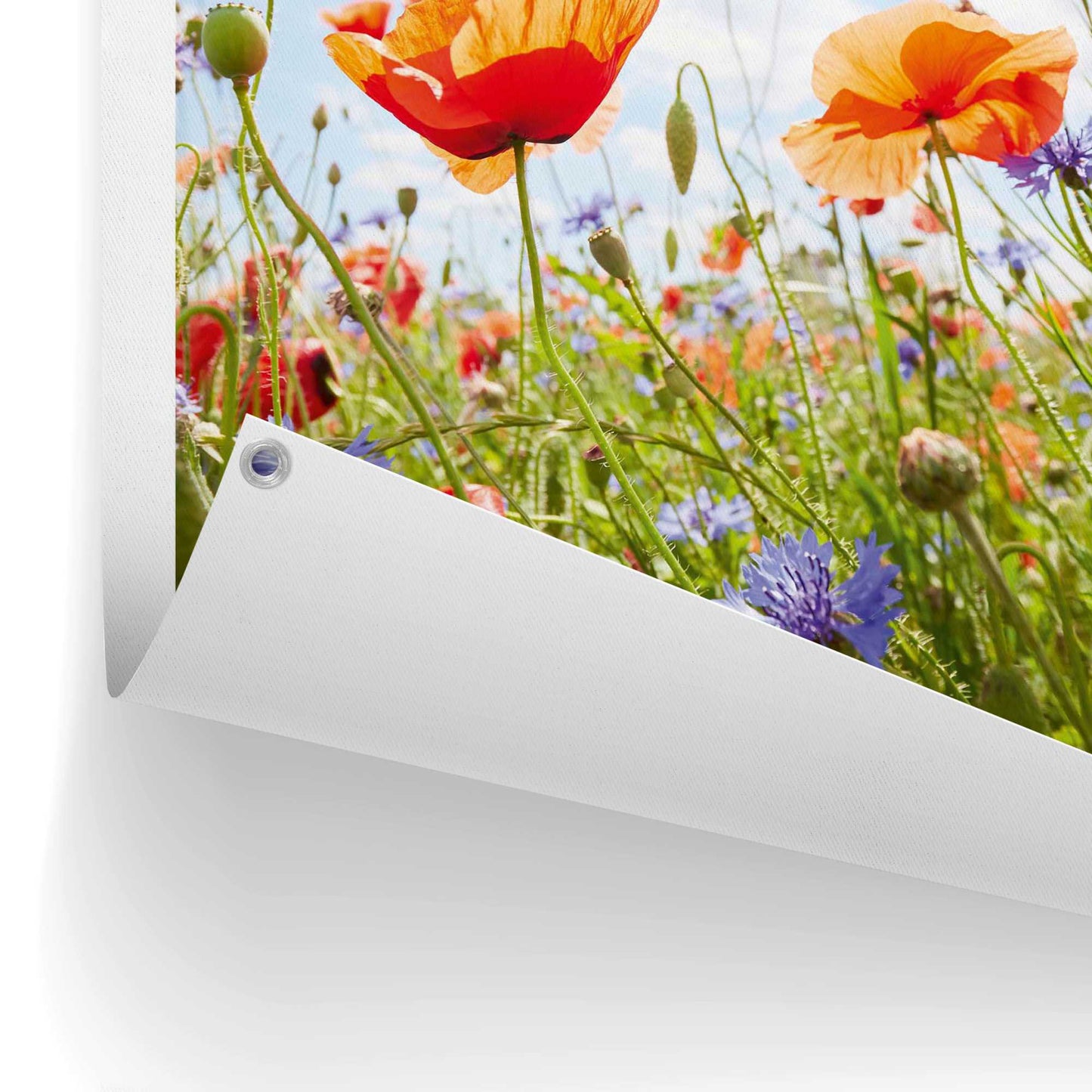 Outdoor Art Poppy Summer Field 70x50