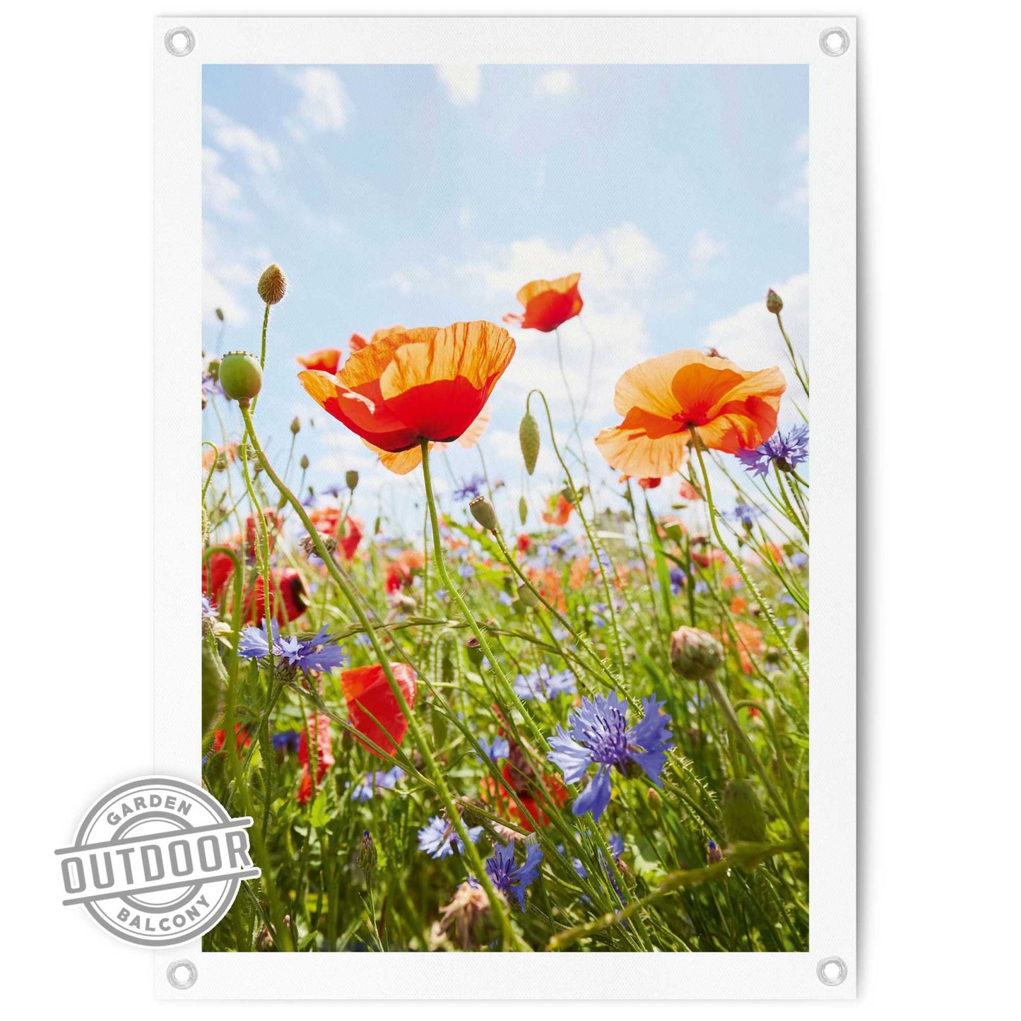 Outdoor Art Poppy Summer Field 70x50