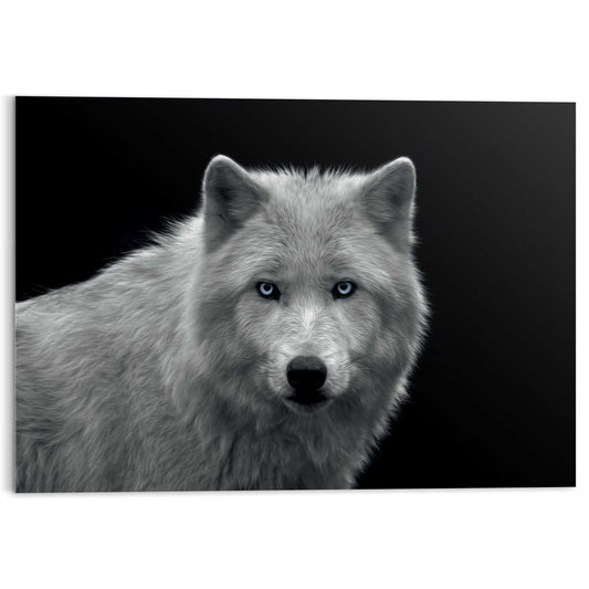 Plexiglass painting Wolf on Black 70x100