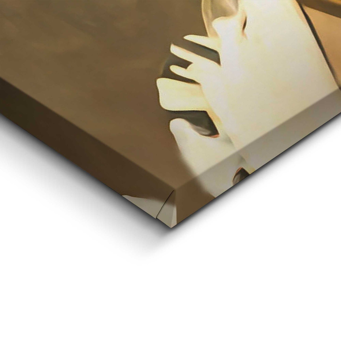 Canvas Feminism 70x50