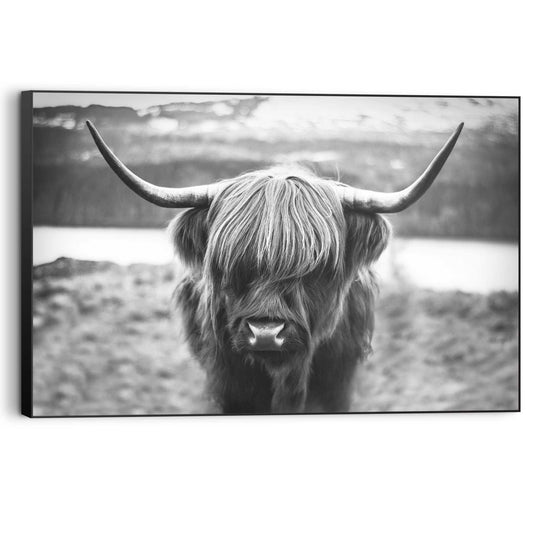 Framed Picture Highland Cow 60x90