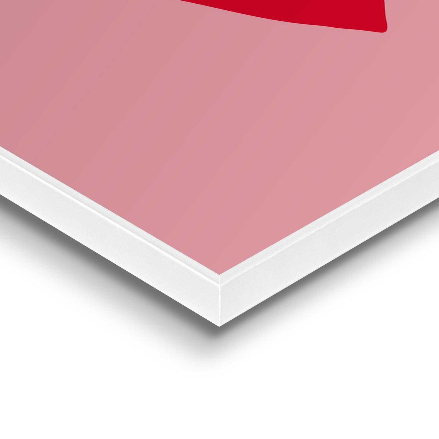 Framed in White Love 50x40