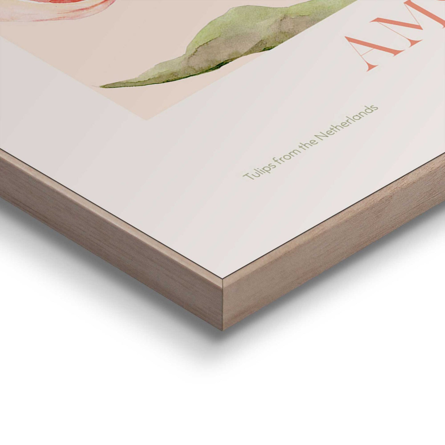 Framed in Wood Tulip Market Amsterdam 70x50