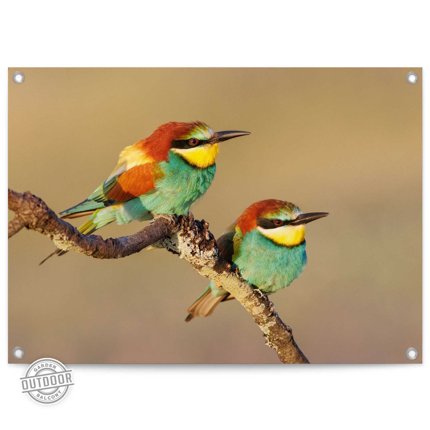 Outdoor Art Coloured Birds 50x70