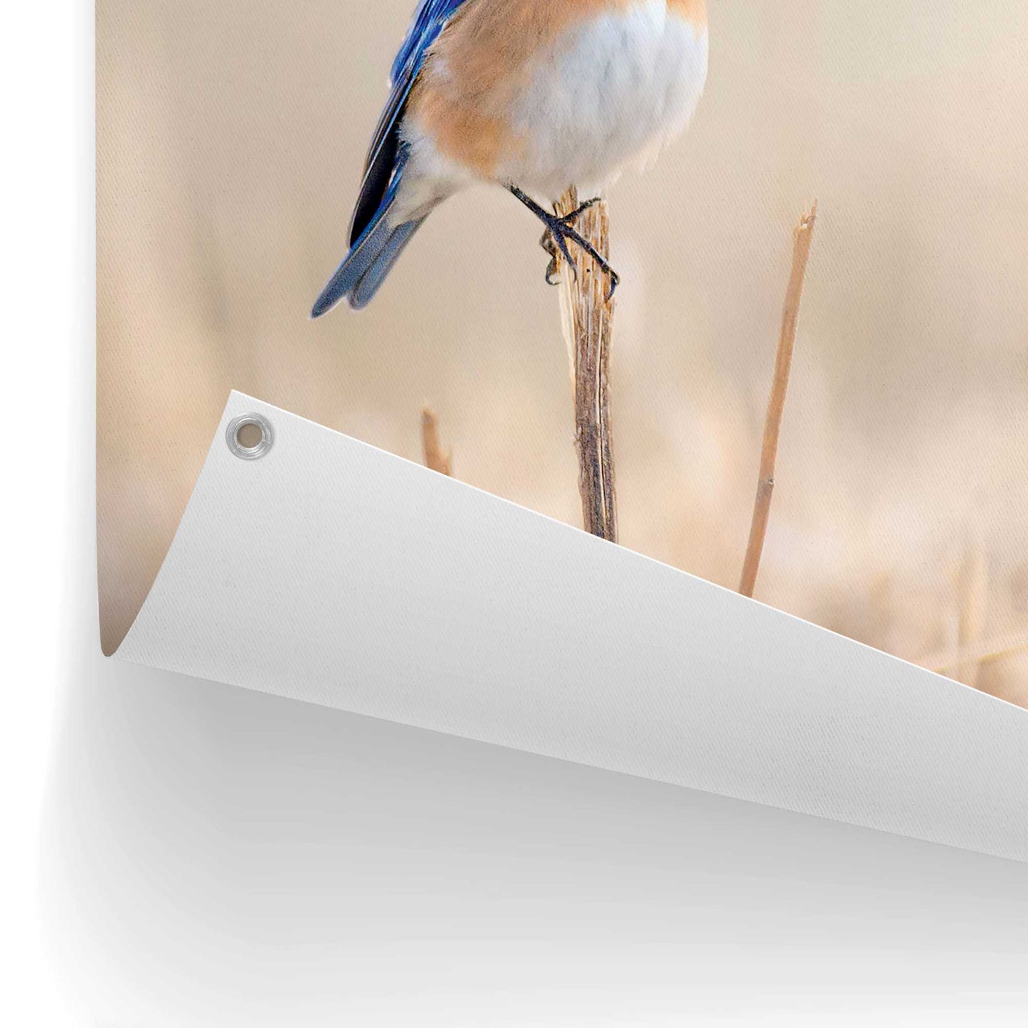 Outdoor Art Bird Blues 70x50
