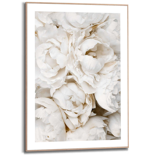 Framed in Wood Bed of White Roses 70x50