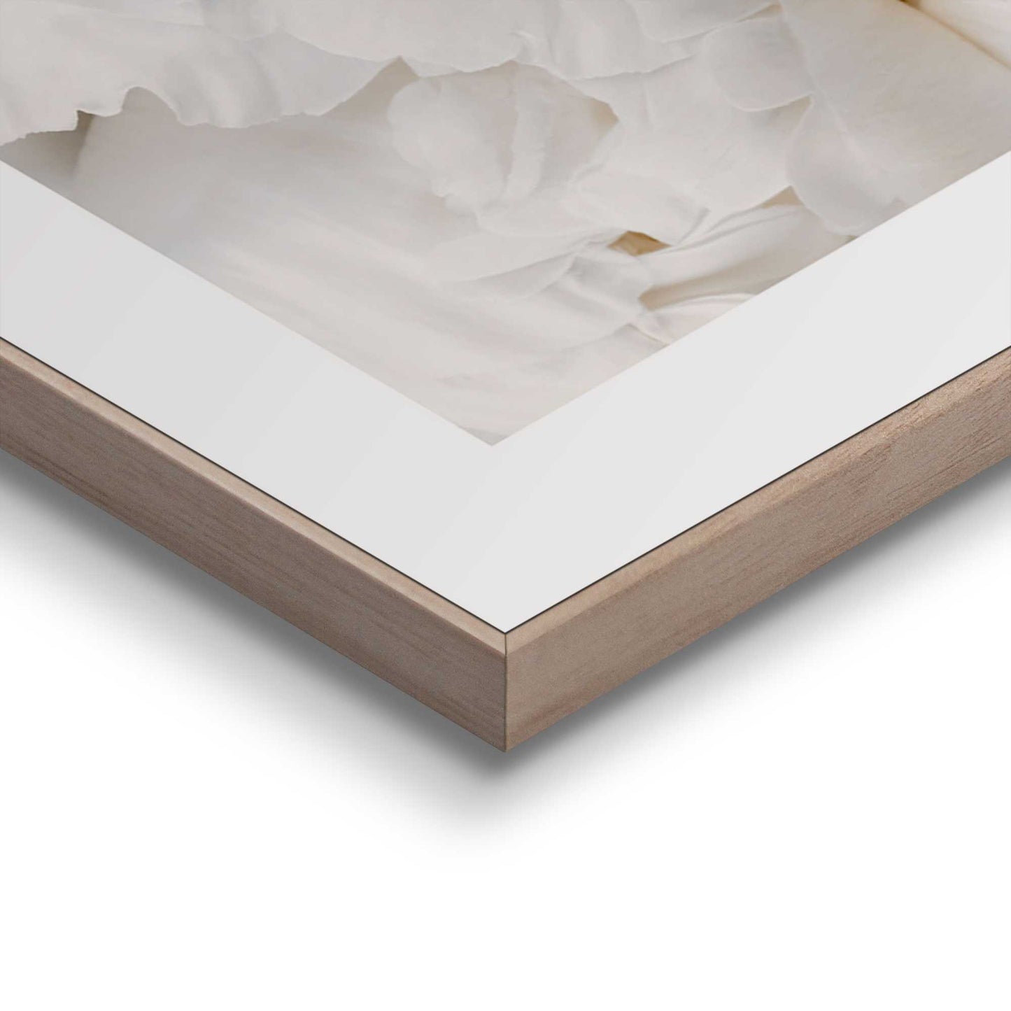 Framed in Wood Bed of White Roses 70x50