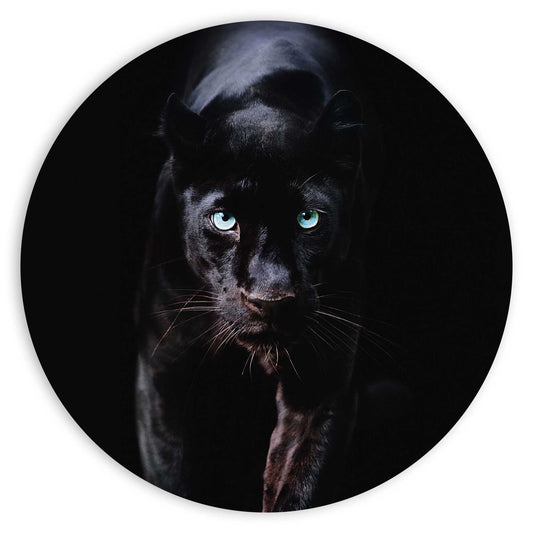 Painting Black Cat 50x50