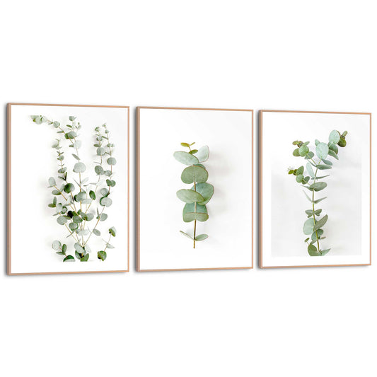 Framed in Wood Eucalyptus Trio 40x30