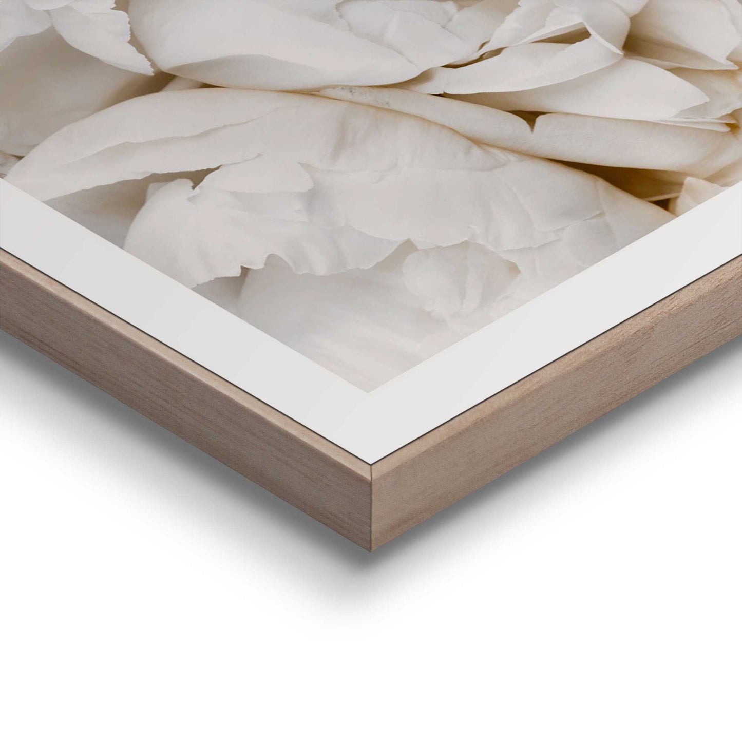 Framed in Wood Bed of White Roses 50x40