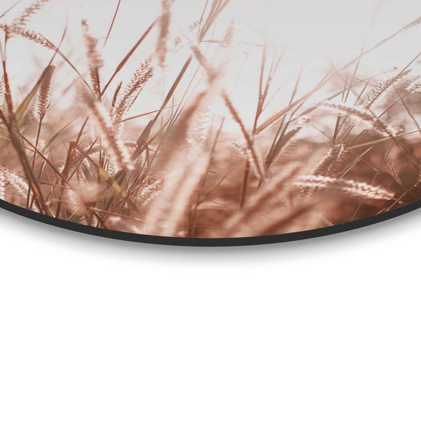 Circle Art Sunlight Grasses 50x50