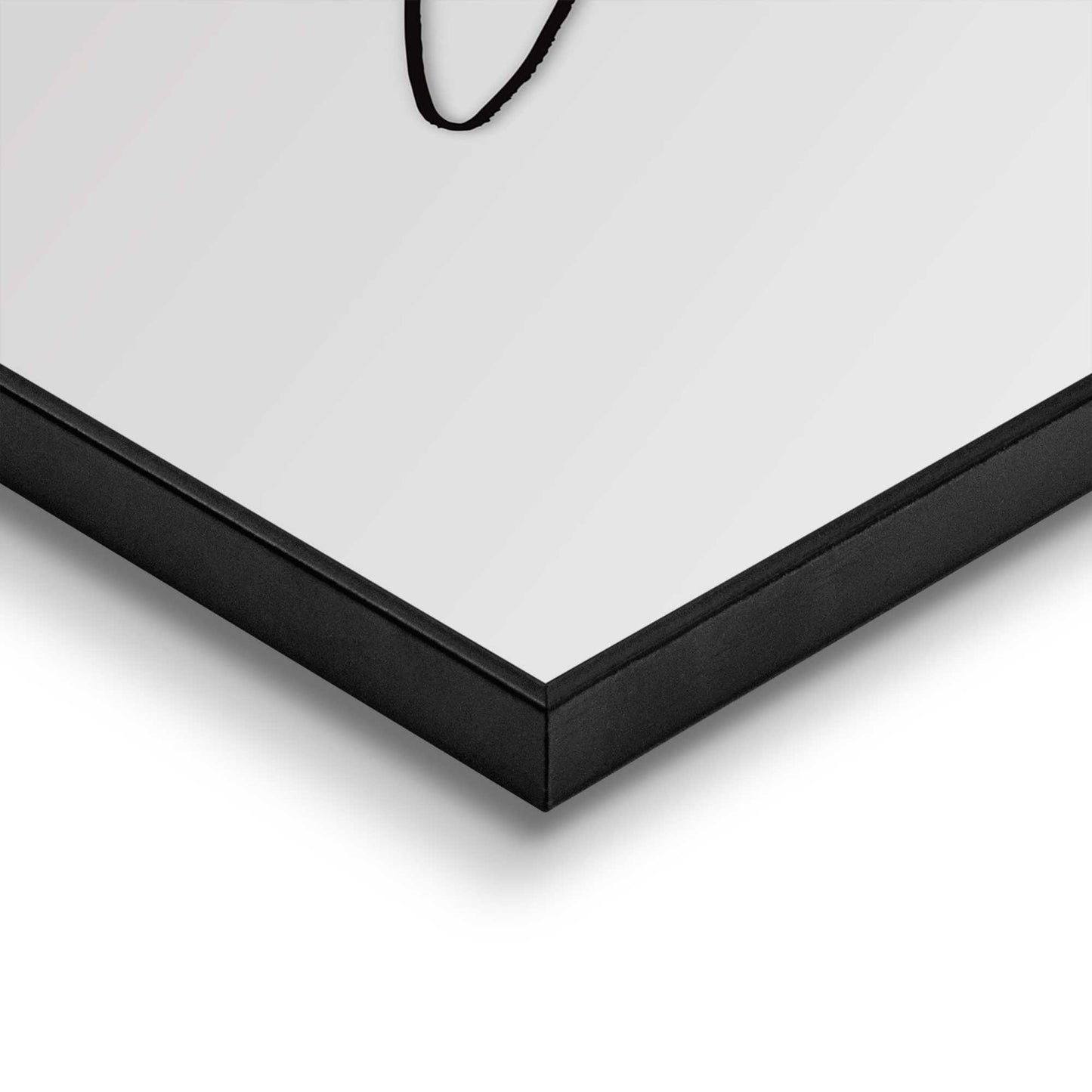 Framed in Black Dove of Peace 50x40