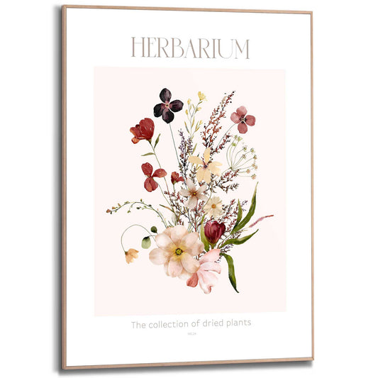 Framed in Wood Herbarium 70x50