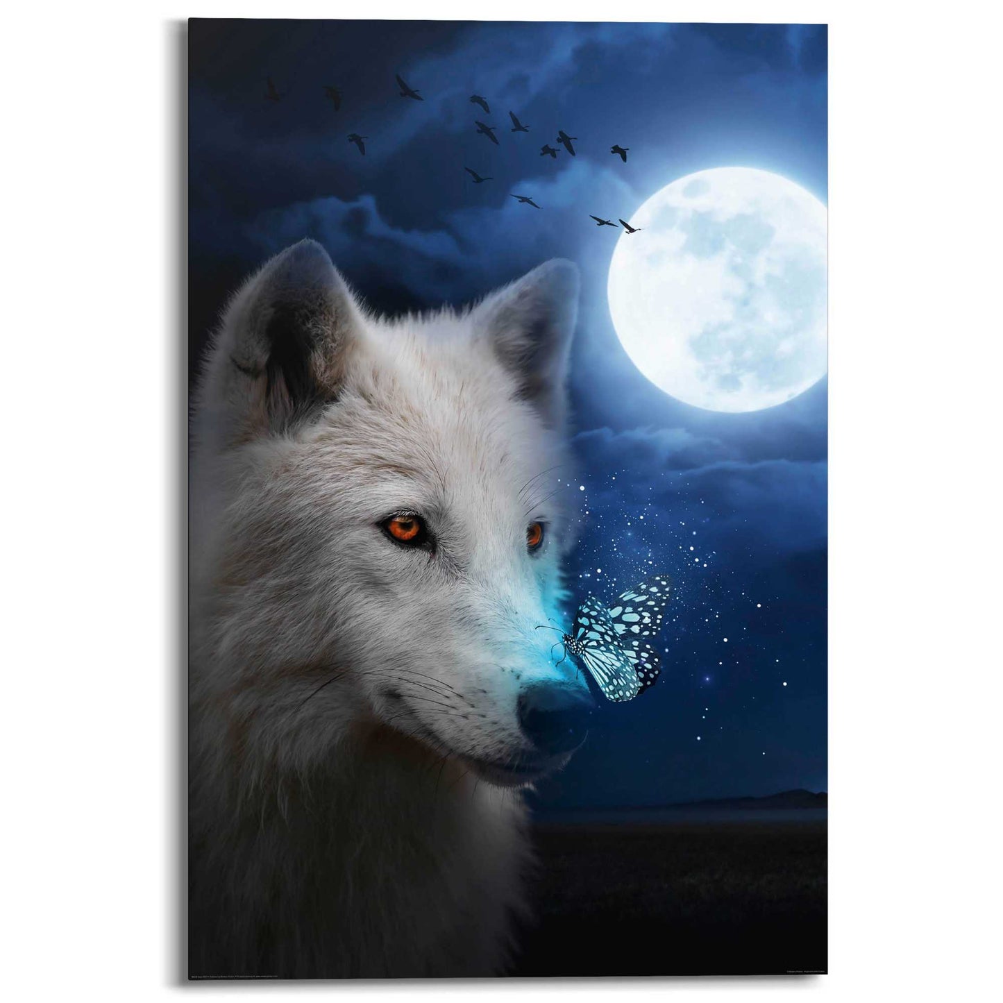 Painting White Wolf 90x60