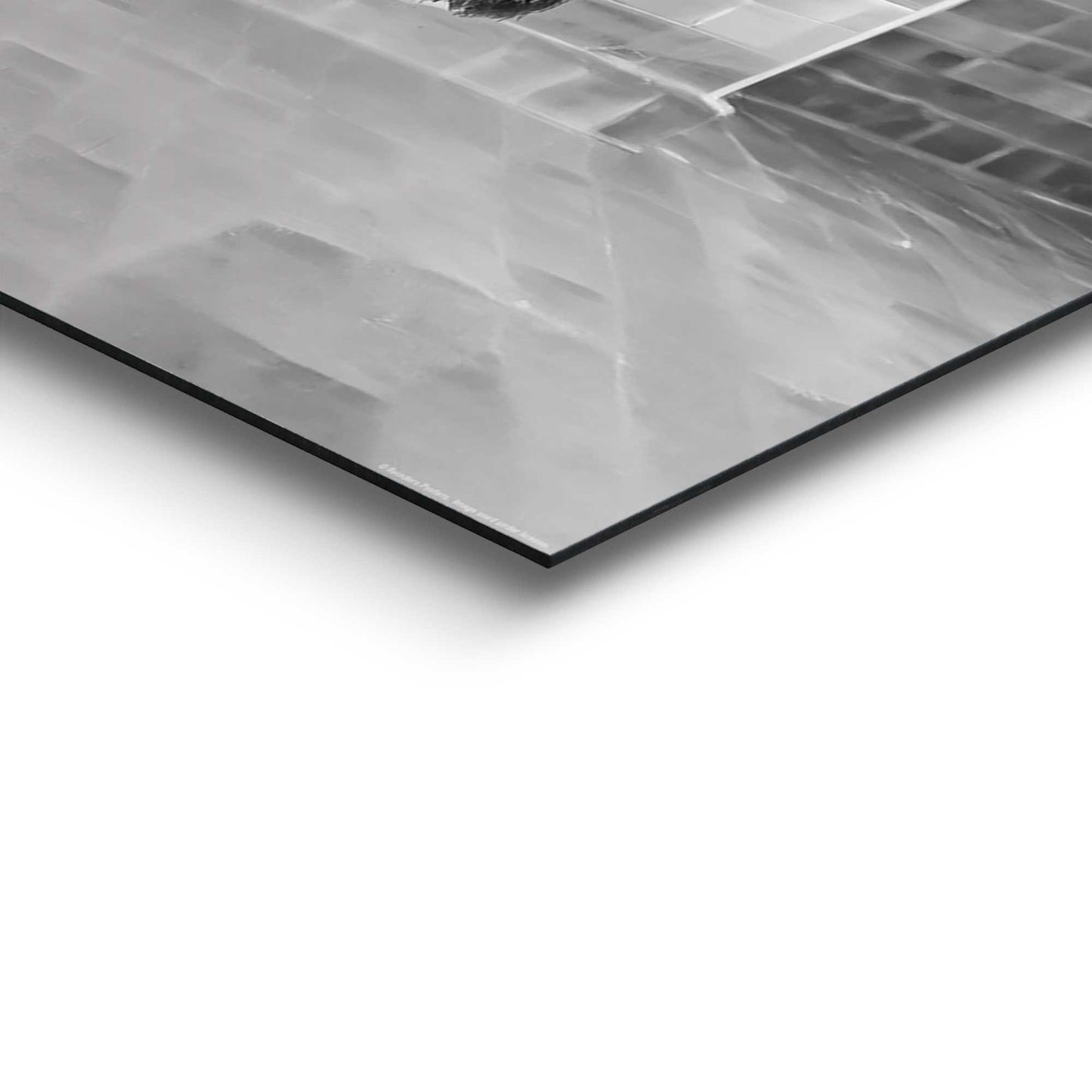 Painting Highlander Toilet 90x60