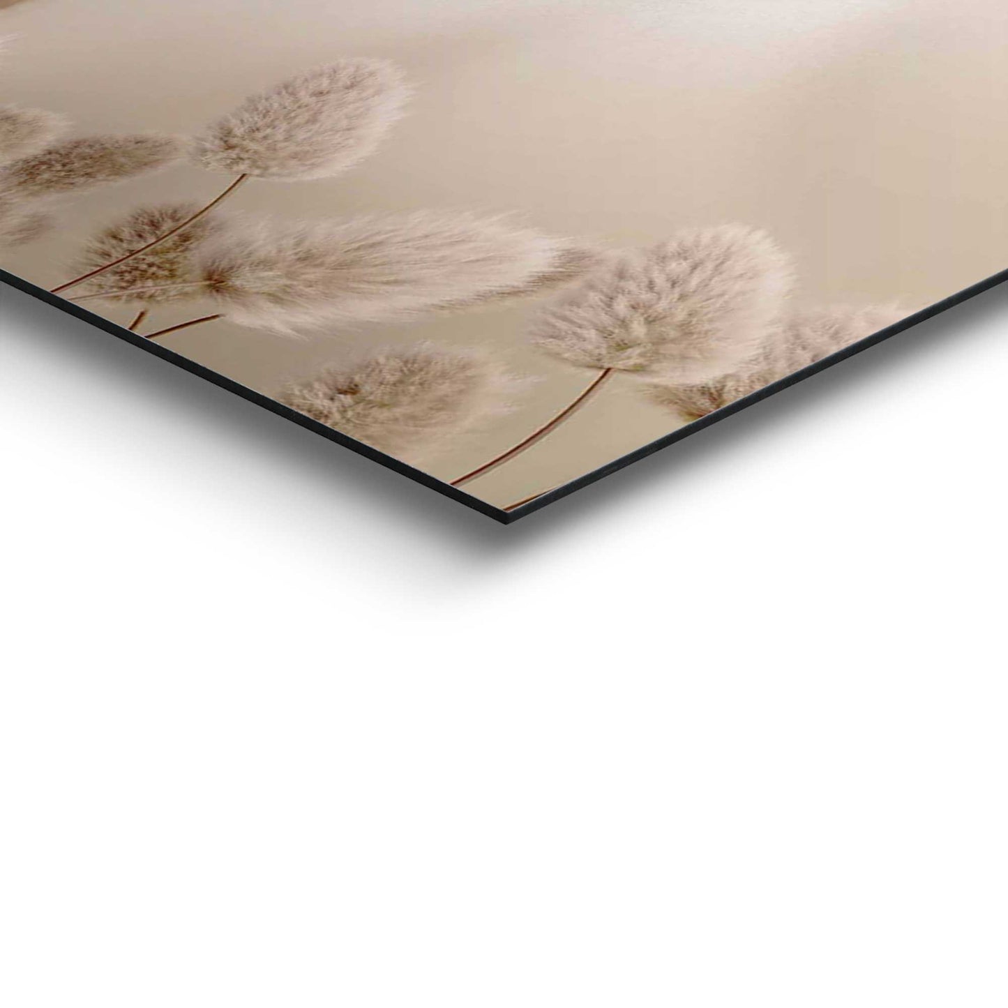 Painting Floral Highlander 60x90