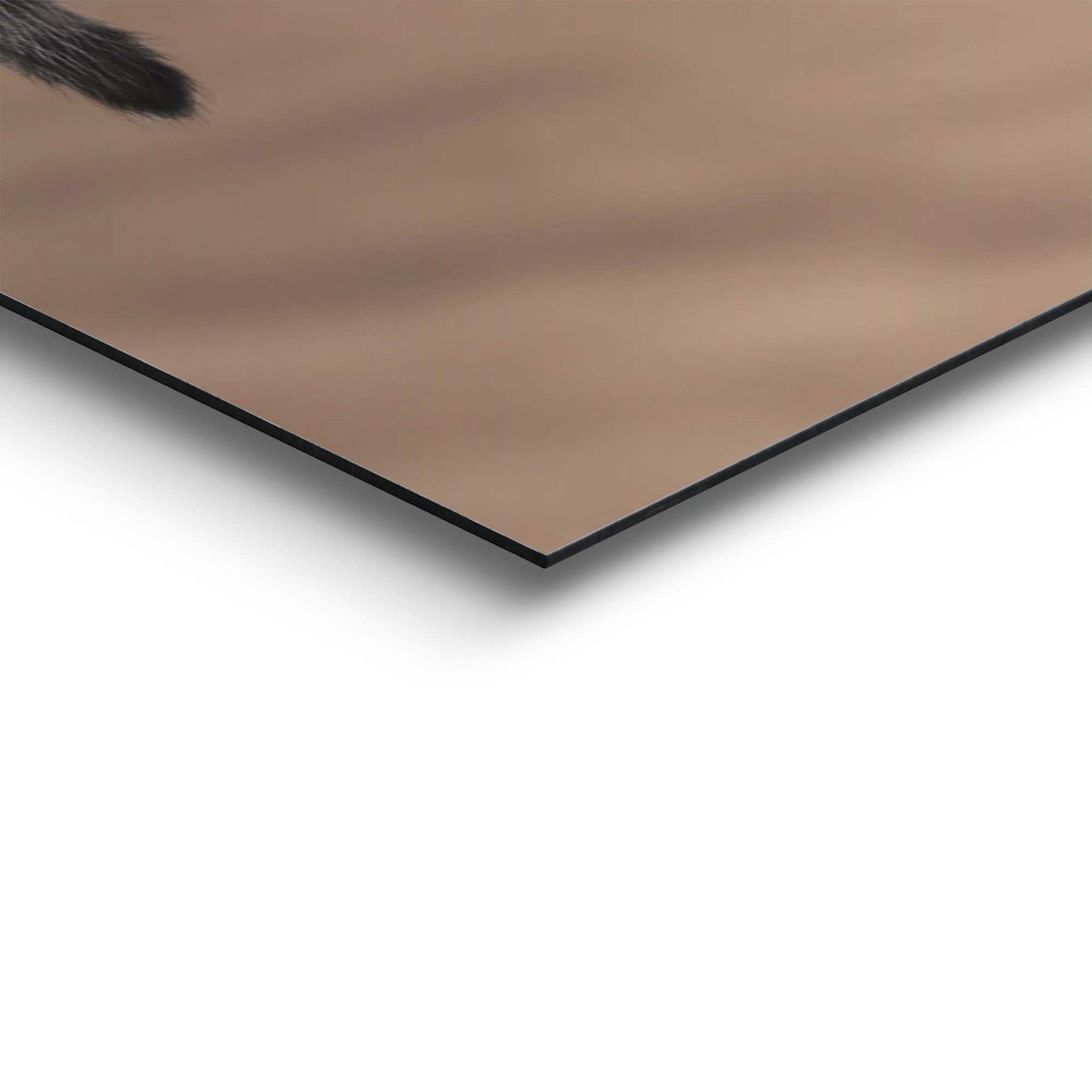 Painting Kitty Hammock 40x50