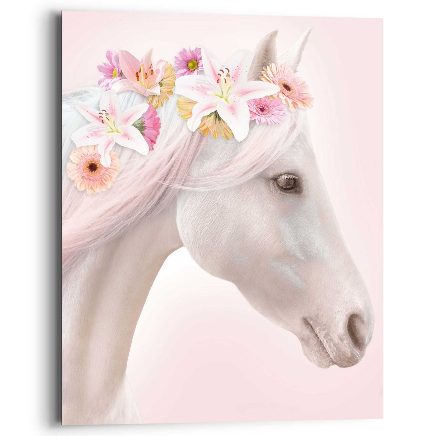 Painting Horse Flowers 50x40
