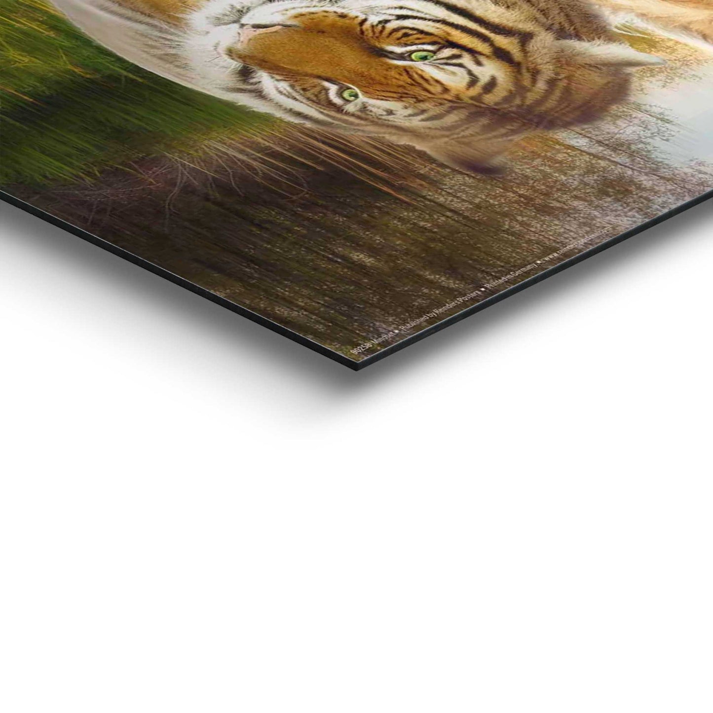 Painting Mindset 50x40