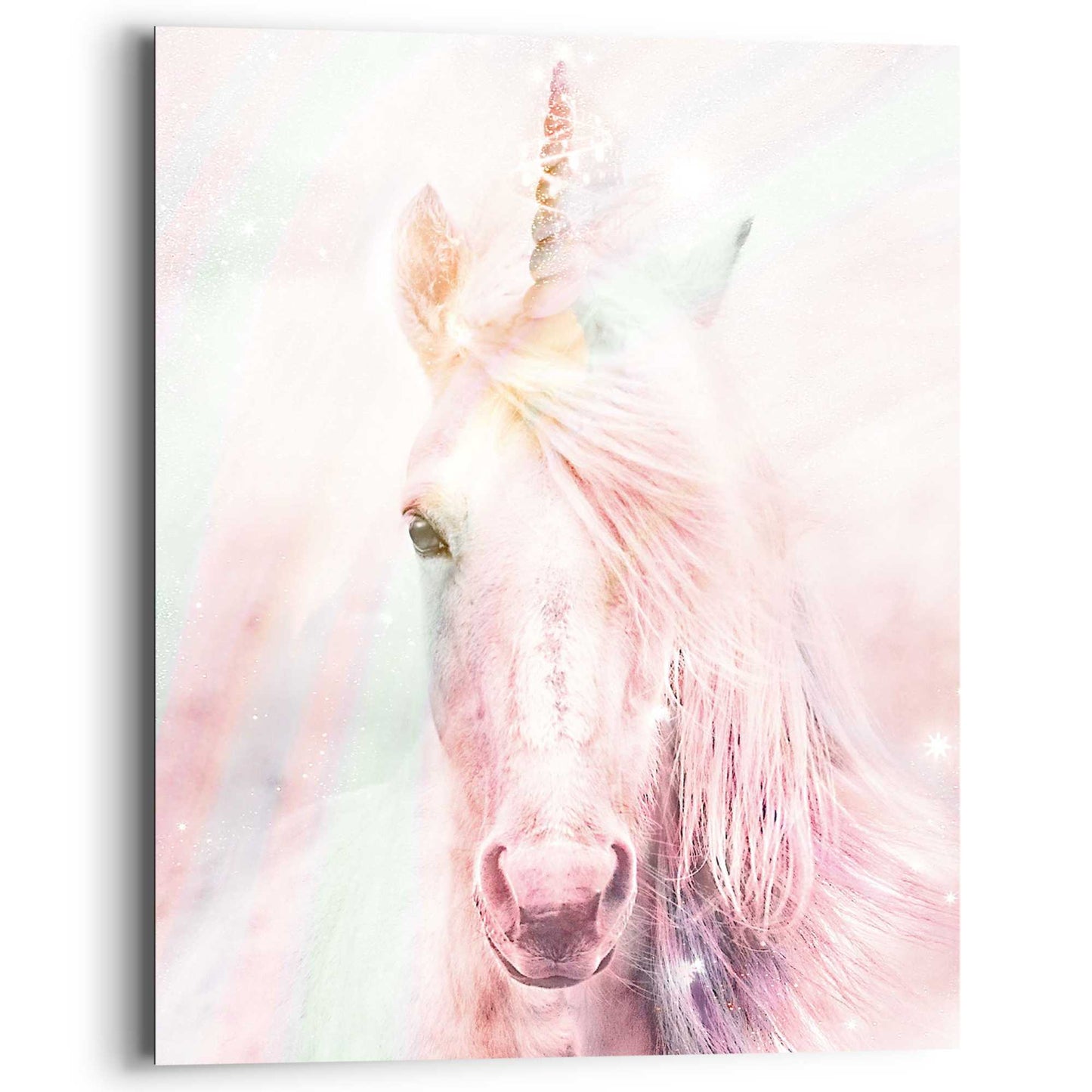 Painting Unicorn Fluffy 50x40