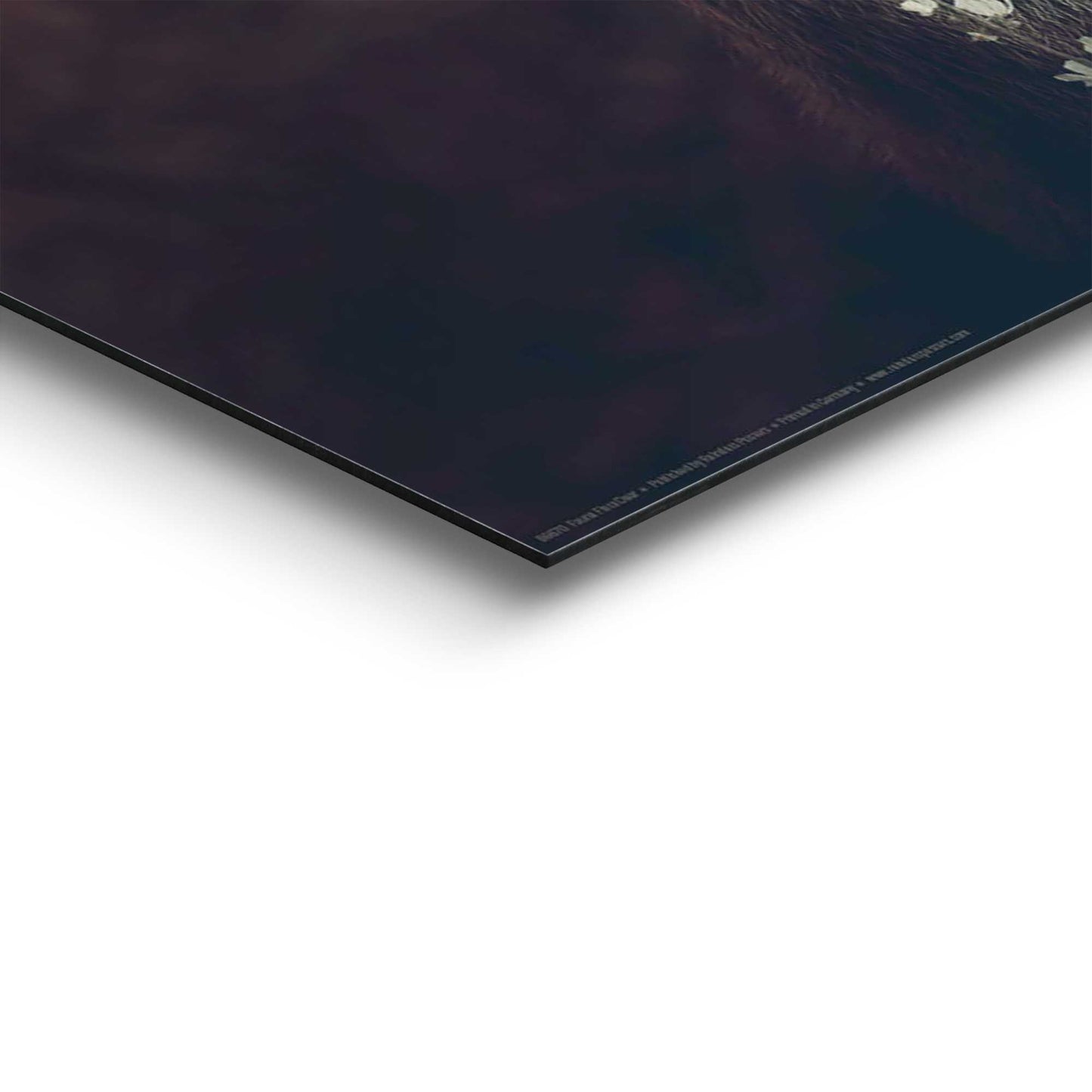 Painting Fauna Flora Deer 50x40