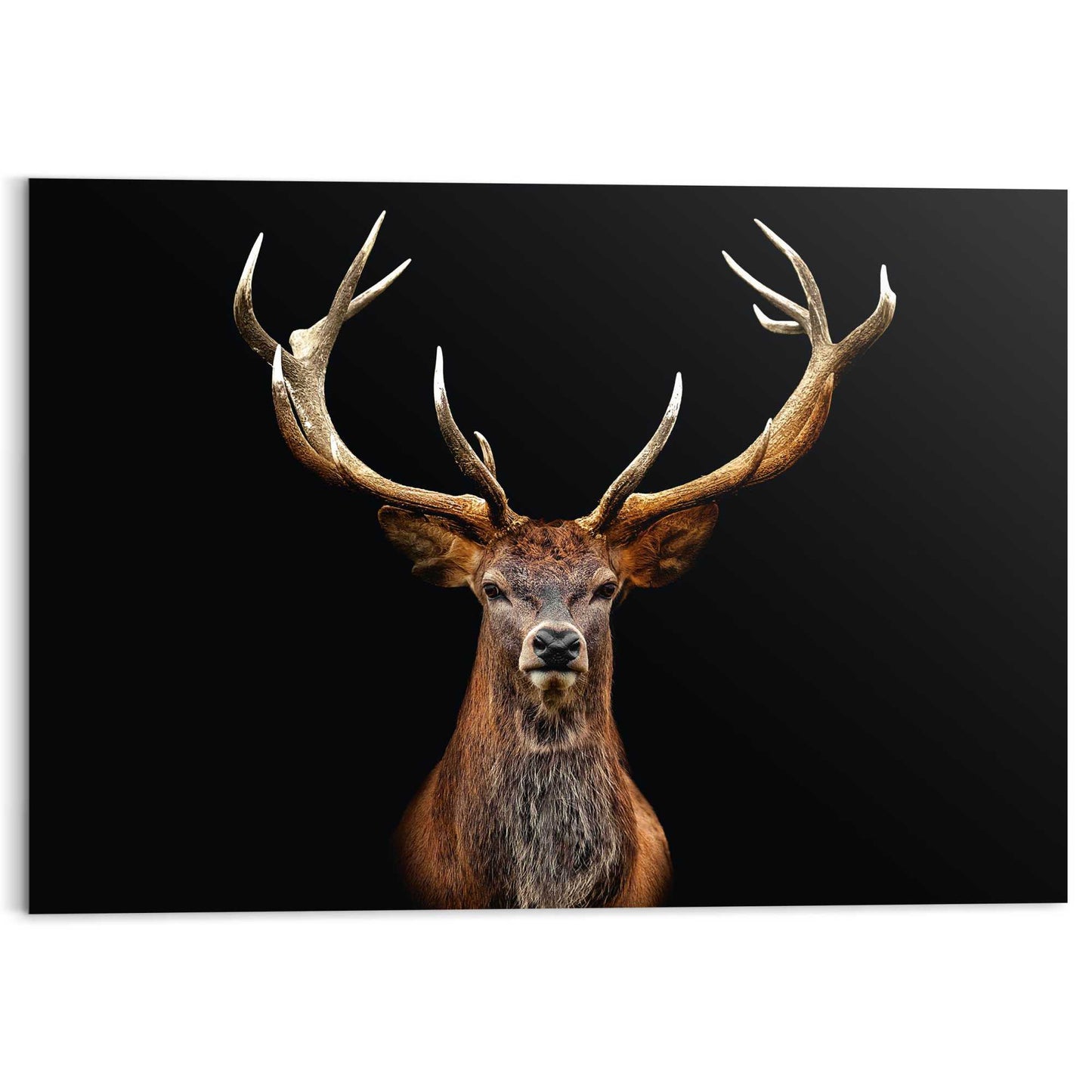 Plexiglass painting Deer in the Dark 70x100