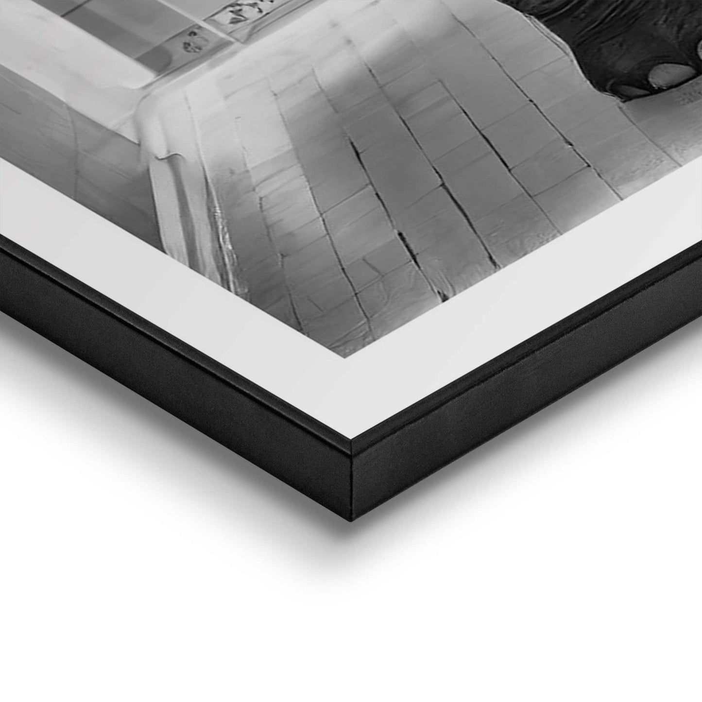 Framed in Black Elephant Toilet 70x50