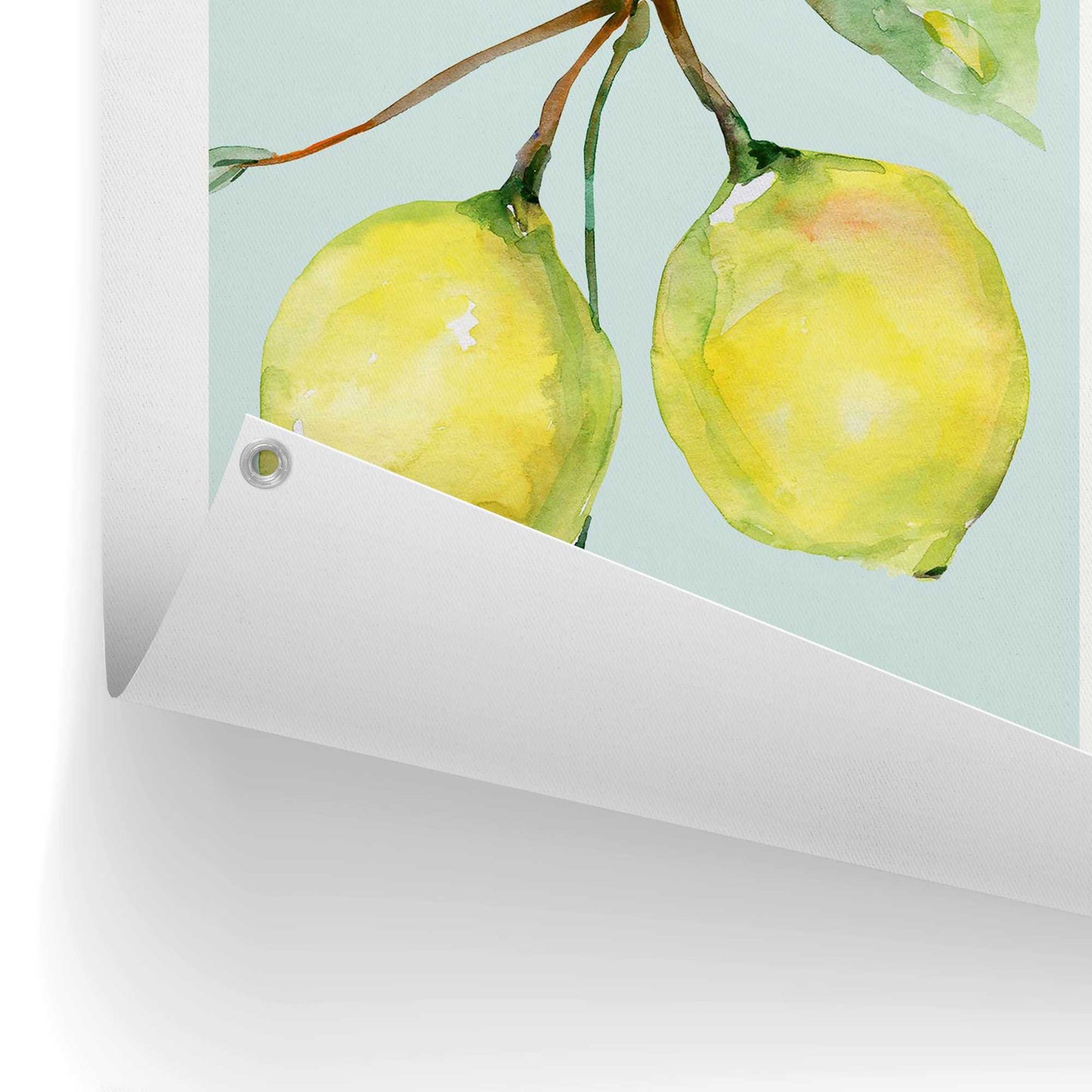 Outdoor Art Sorrento Lemons 70x50