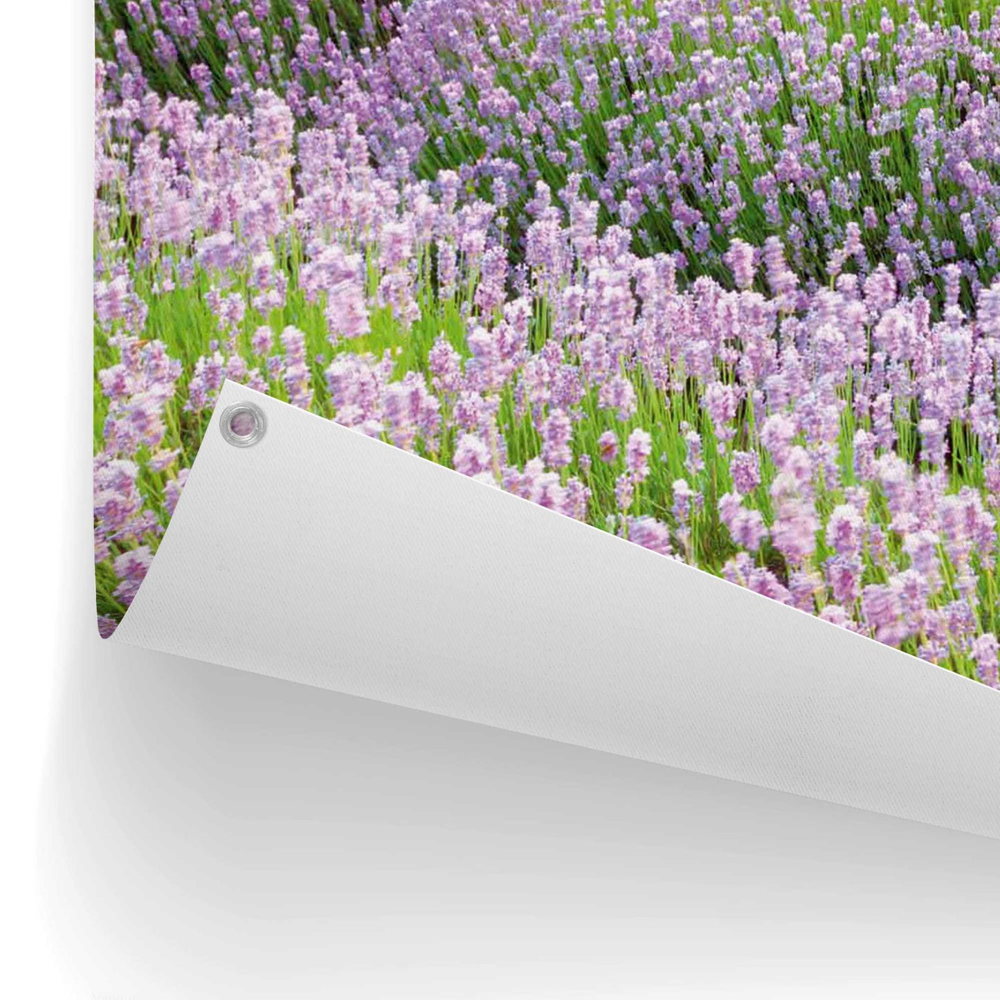Outdoor Art Sunset Lavender Field 50x70