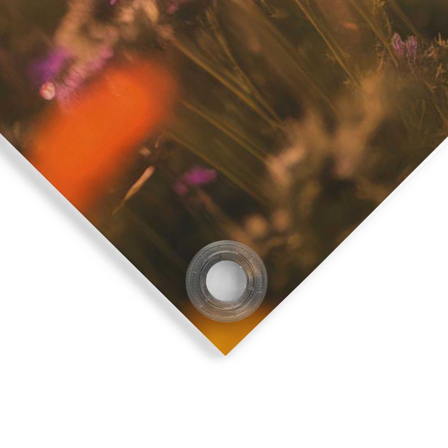 Outdoor Art Flower Field Highlander 50x70