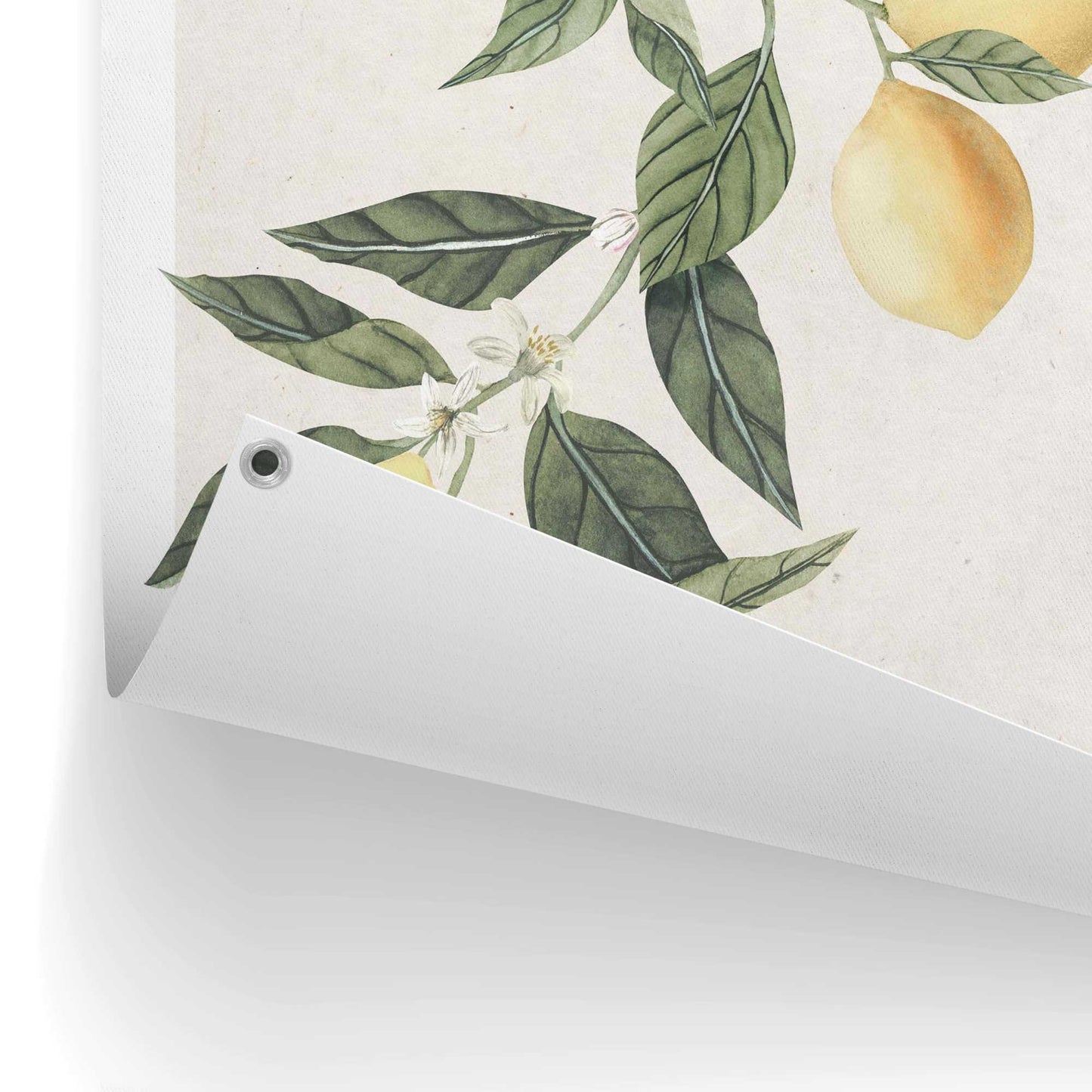 Outdoor Art Limoni Di Sorrento 70x50