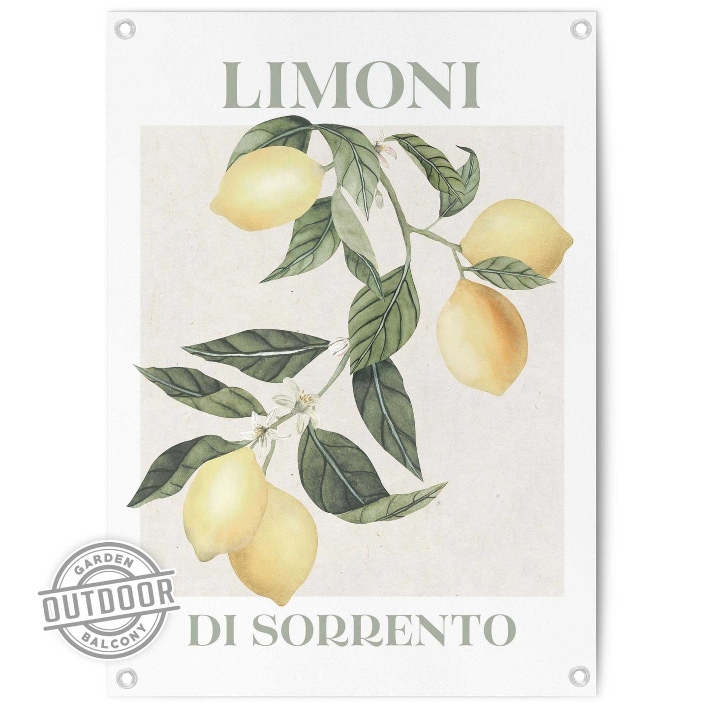 Outdoor Art Limoni Di Sorrento 70x50