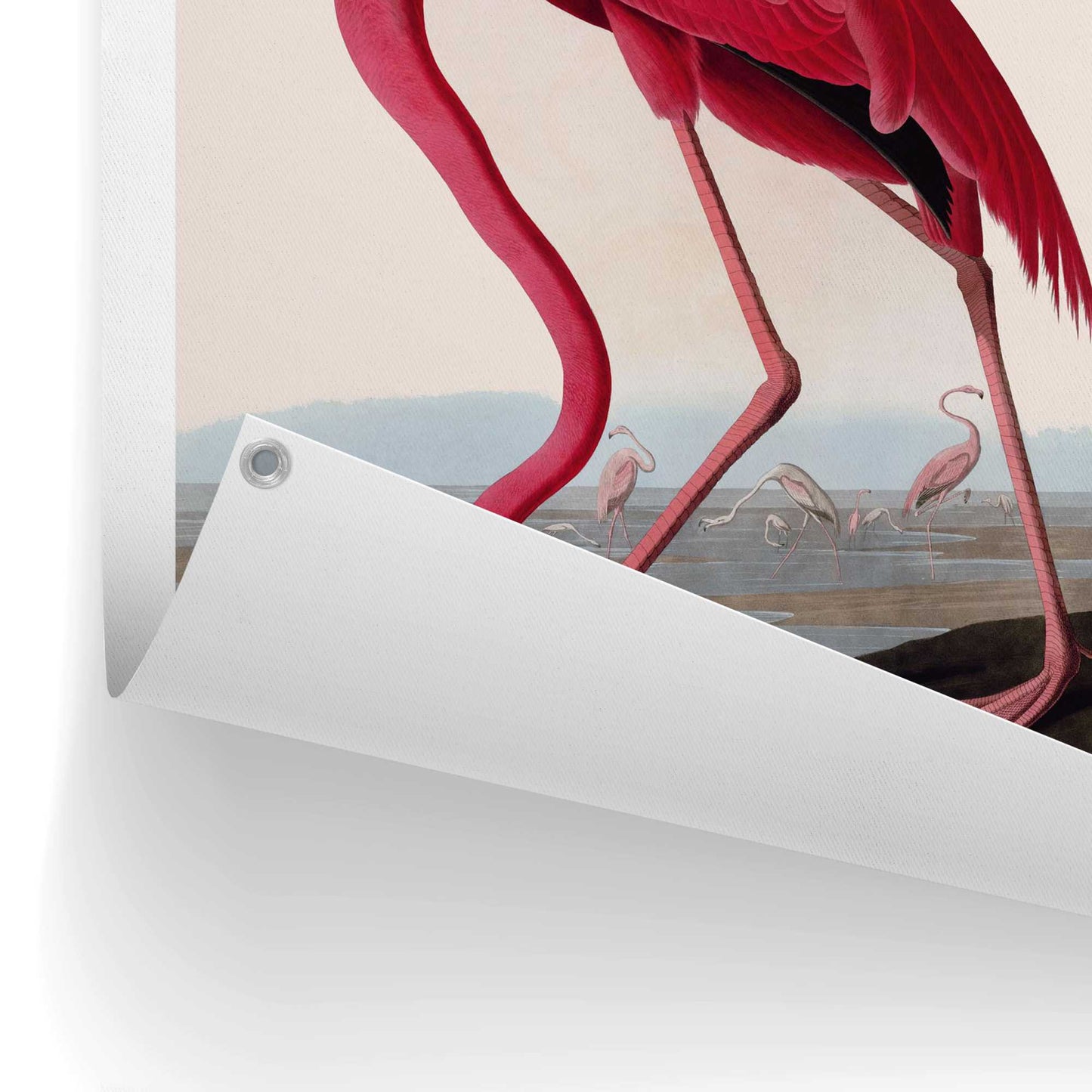 Outdoor Art Audubon Flamingo 70x50