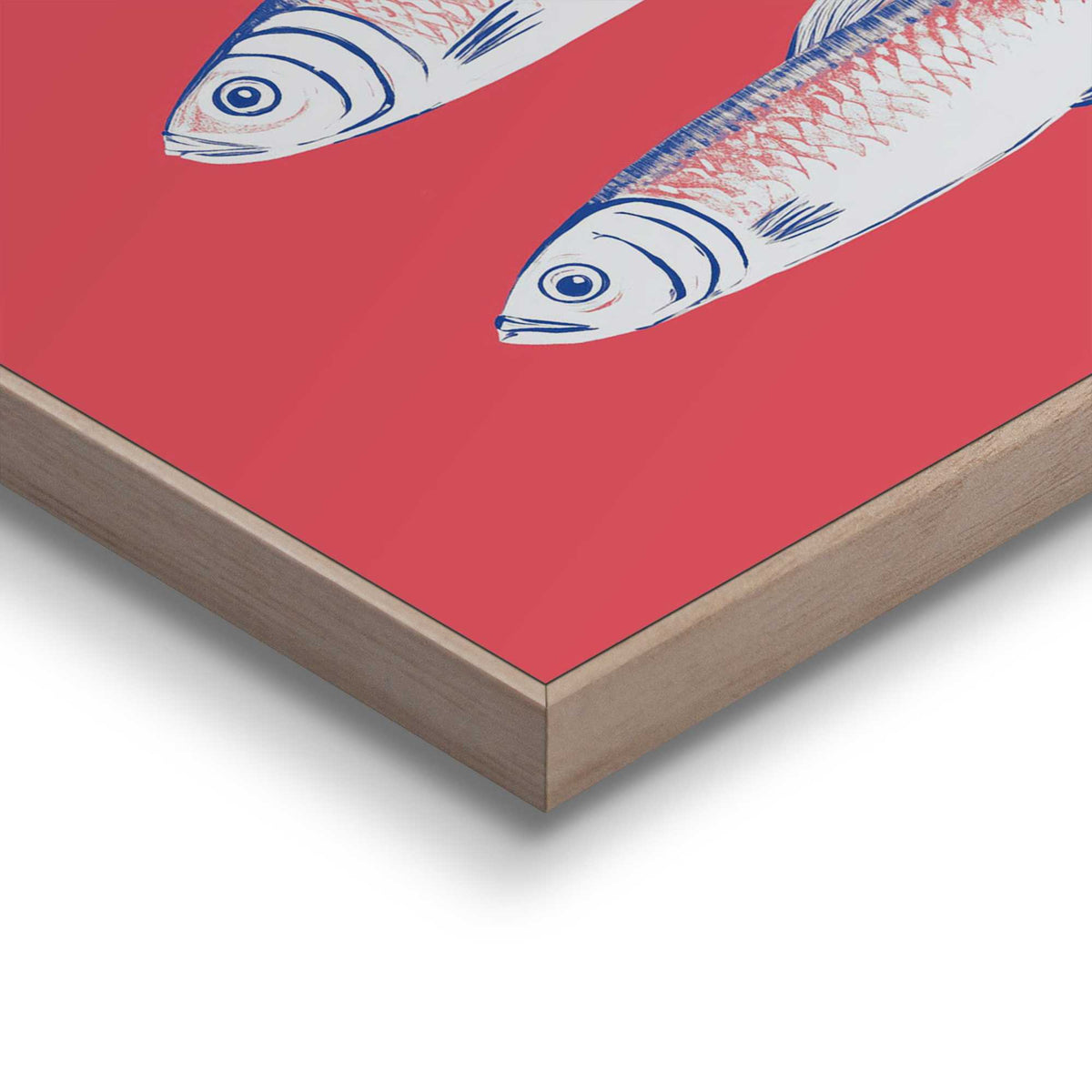 Framed in Wood Sardines 50x40