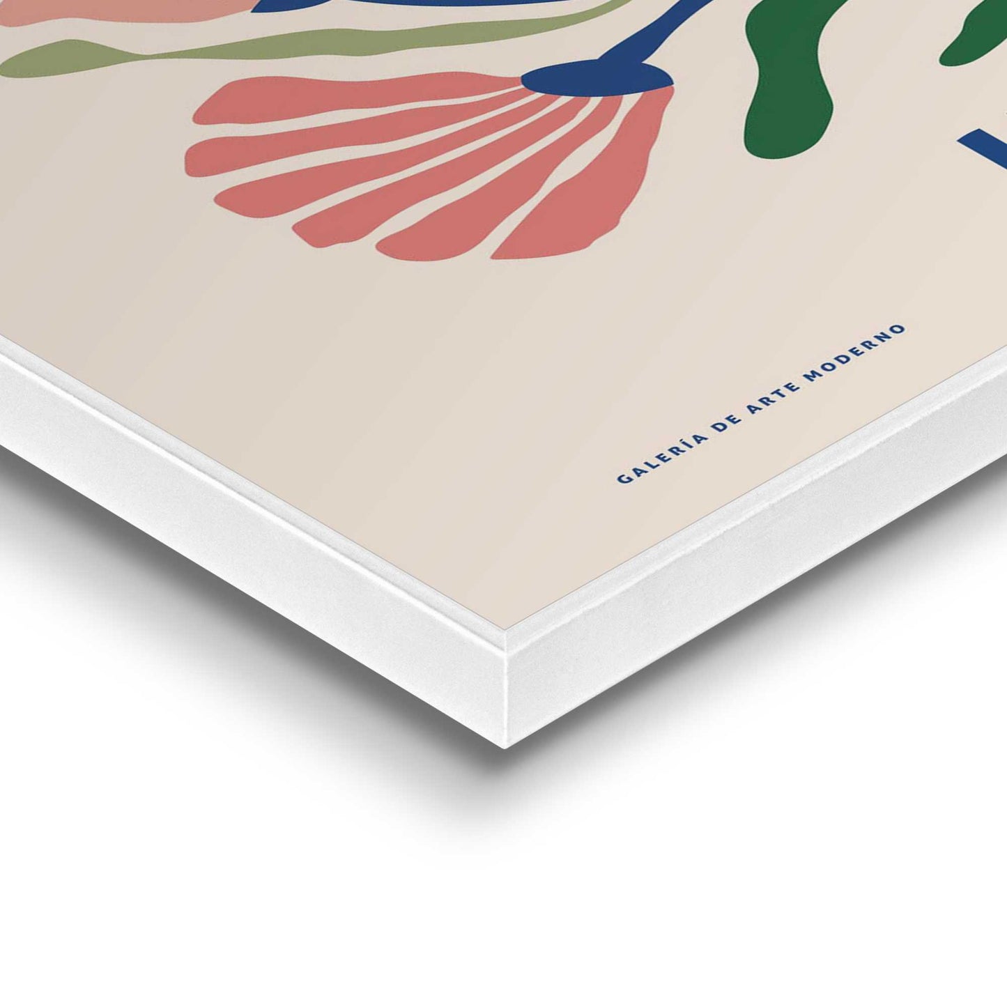 Framed in White Plantes & Fleurs - Paris & Ibiza 70x50