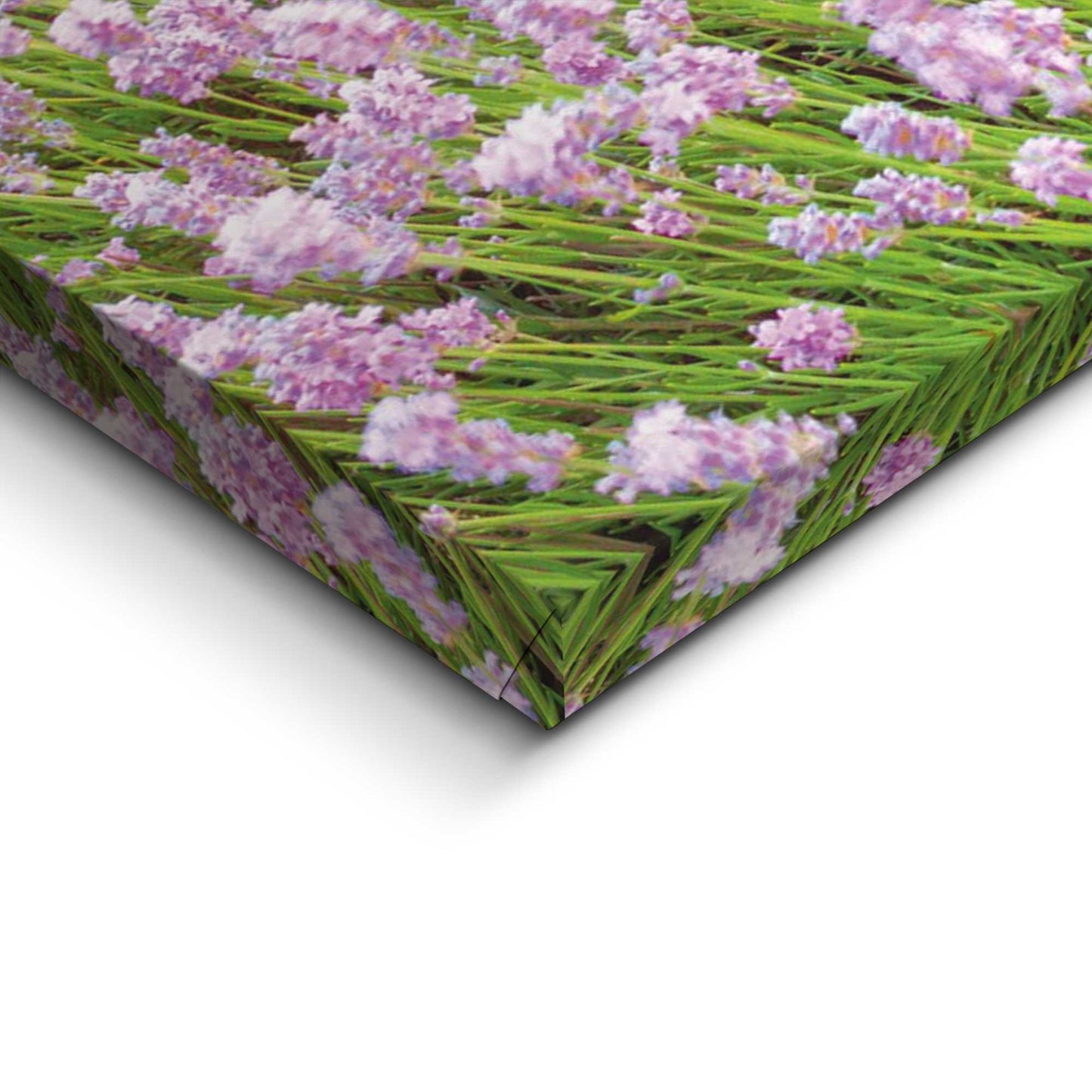 Canvas Lavender Field 50x70