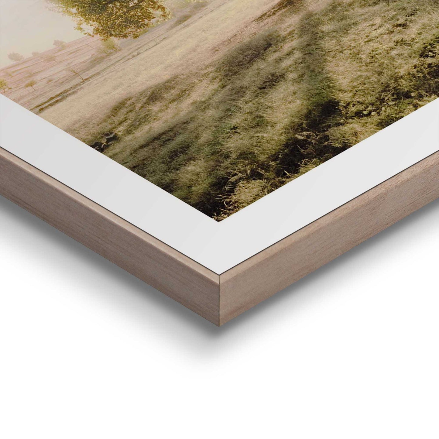 Framed in Wood In nature 40x30