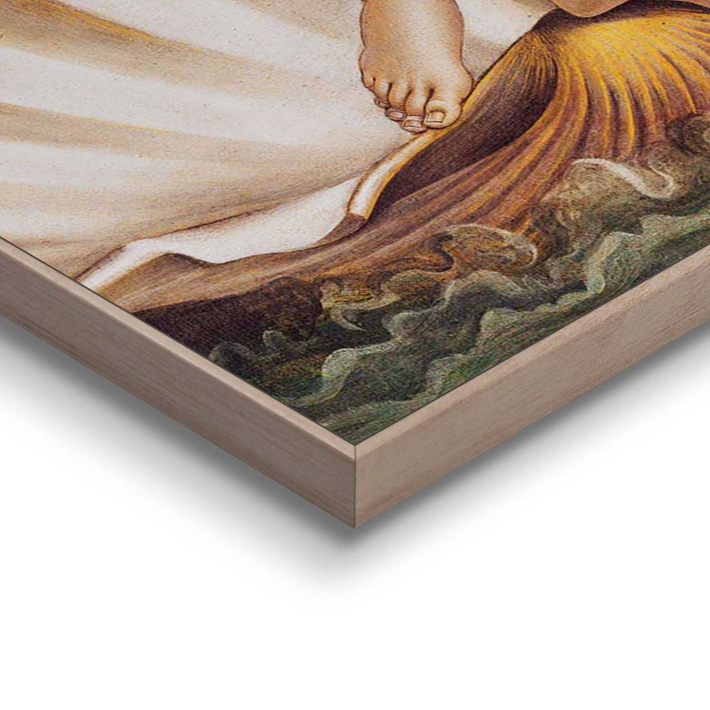 Framed Poster Venus Wow 70x50