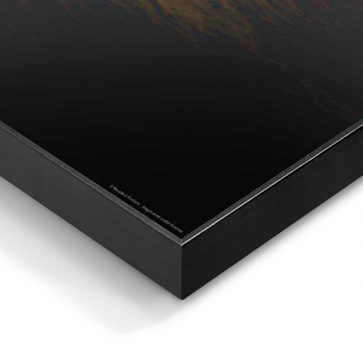 Wall Art Panel Looking Lion 60x90